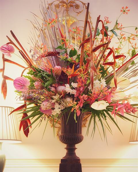 Bridget Vizoso Design