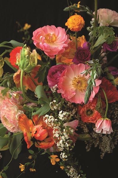 Bridget Vizoso Design