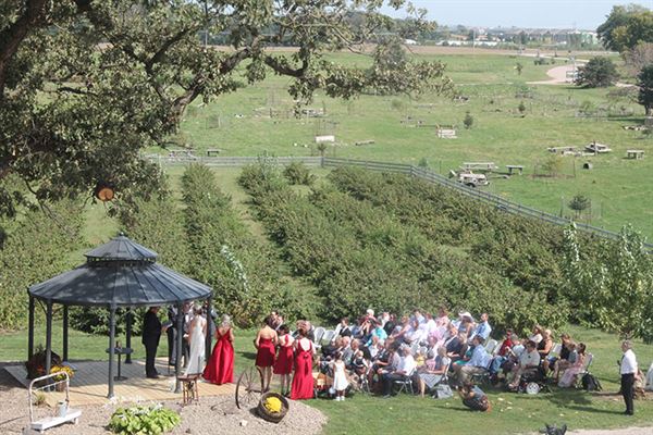 Bellevue Berry Farm and Pumpkin Ranch