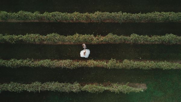 Bella Terre Reception Hall & Vineyard