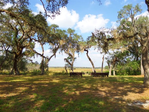 The Venue at Diamond C Ranch