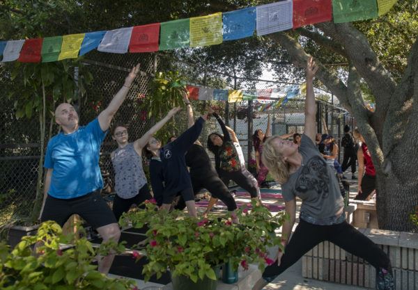 Big Cat Habitat & Gulf Coast Sanctuary