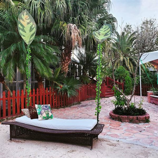 Big Cat Habitat & Gulf Coast Sanctuary