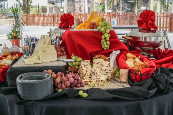 Big Cat Habitat & Gulf Coast Sanctuary