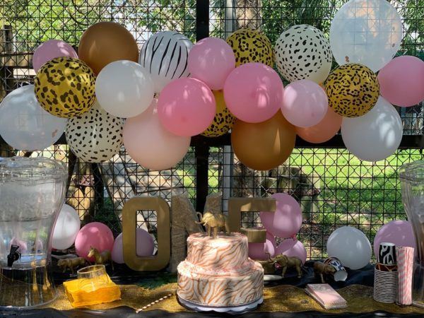 Big Cat Habitat & Gulf Coast Sanctuary