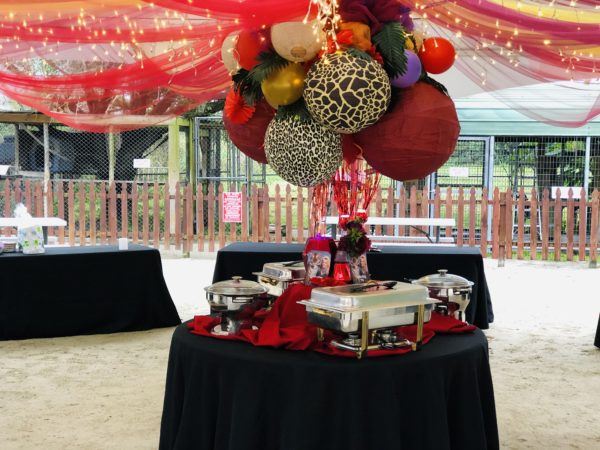 Big Cat Habitat & Gulf Coast Sanctuary