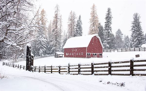 Western Pleasure Guest Ranch