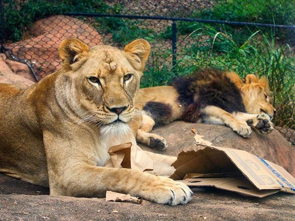 Santa Barbara Zoological Gardens