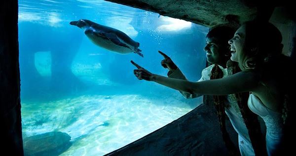 Santa Barbara Zoological Gardens