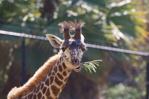 Santa Barbara Zoological Gardens
