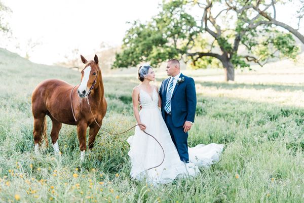 Dovecote Ranch & Vineyard