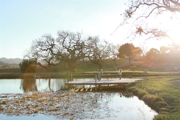 Dovecote Ranch & Vineyard