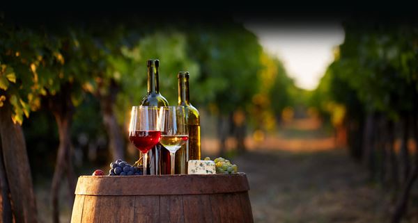 The Vineyard and Brewery at Hershey