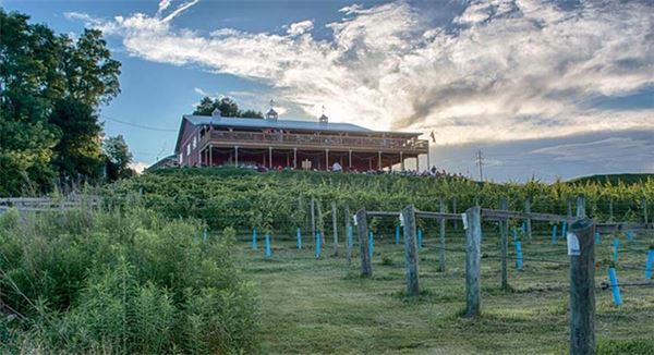 The Vineyard and Brewery at Hershey