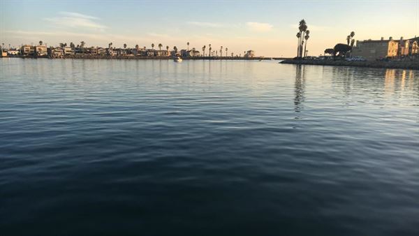 A&M Private Yacht Events