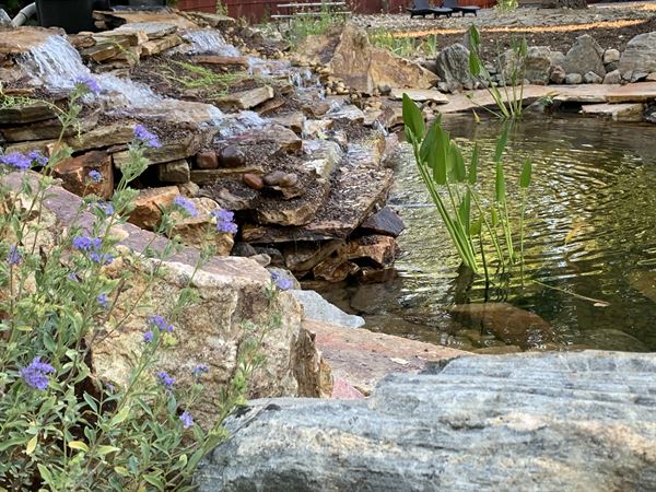 Grey Squirrel Resort