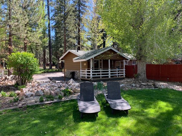 Grey Squirrel Resort