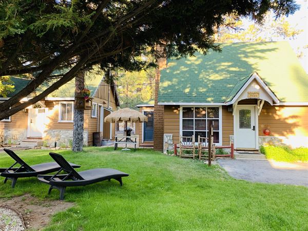 Grey Squirrel Resort