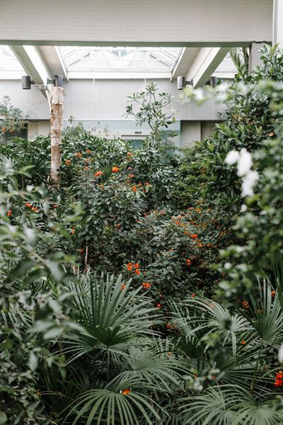 Texas Discovery Gardens