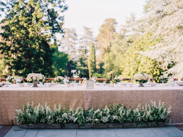 Montalvo Arts Center