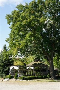 Outdoor Ceremony Space