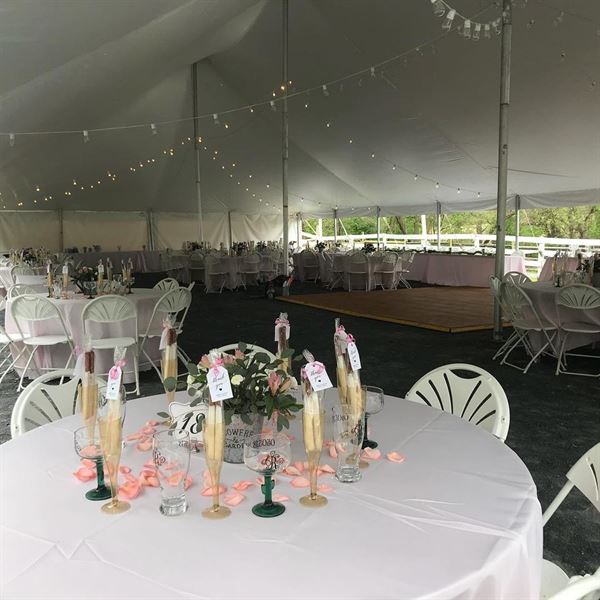 Fallen Tree Farm Bed and Breakfast