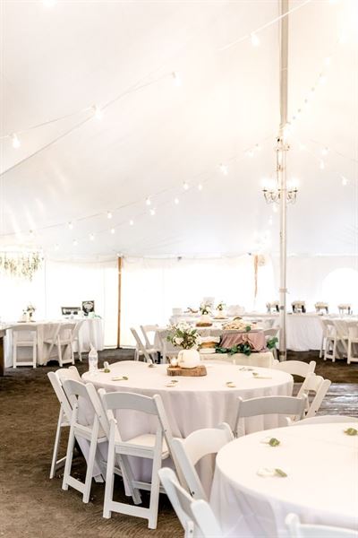 Fallen Tree Farm Bed and Breakfast