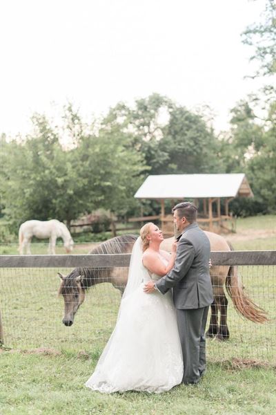 Fallen Tree Farm Bed and Breakfast
