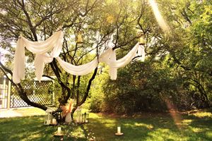 Historic Harn House Lawn