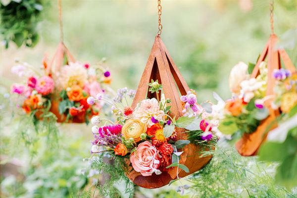 The Collective Company