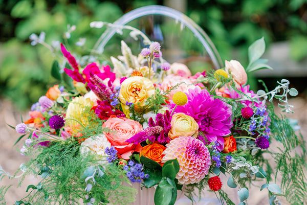 The Collective Company