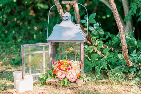 The Collective Company