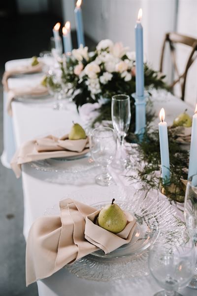 The Collective Company