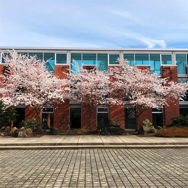 Willamette University