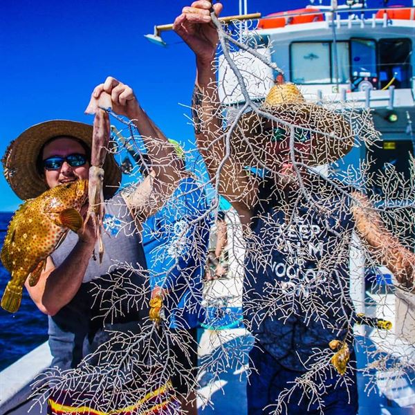 HavanlynnPhotography