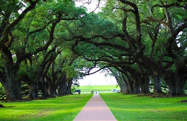 HavanlynnPhotography