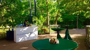 Regenstein Center for African Apes