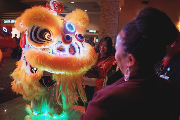 Southern Sea Dragon and Lion Dance Association