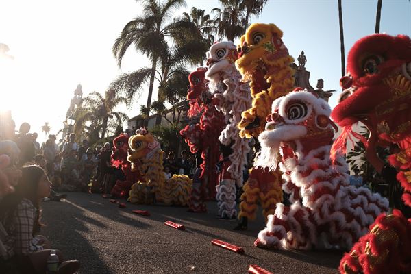 Southern Sea Dragon and Lion Dance Association