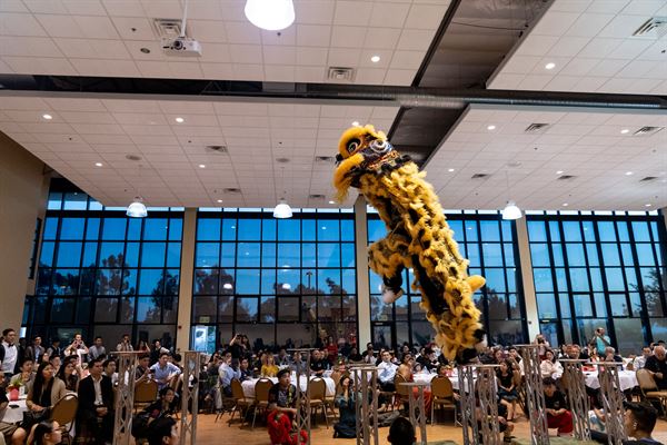 Southern Sea Dragon and Lion Dance Association