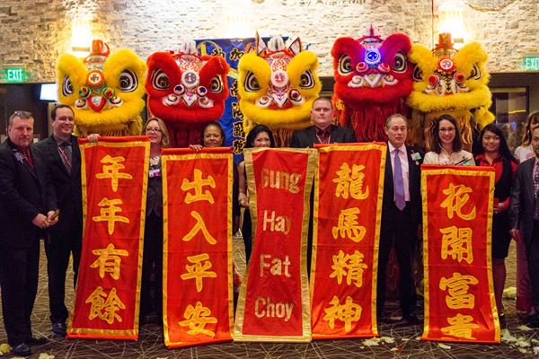 Southern Sea Dragon and Lion Dance Association