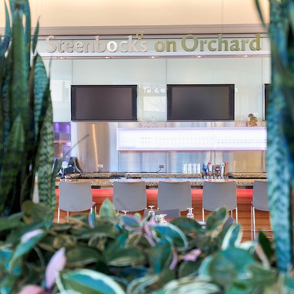 Steenbock's on Orchard