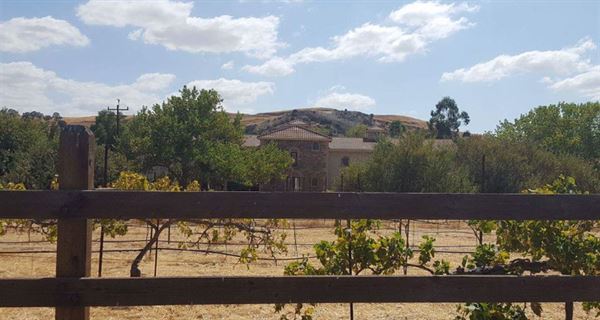 Alamillo Family Ranch