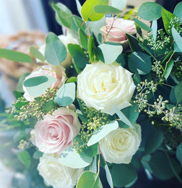 Social Soriee Eventz