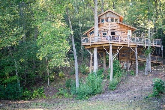 The Club at Bear Claw Vineyards