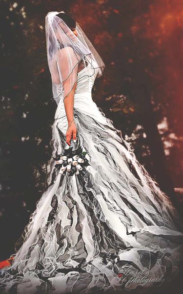 Regina SK Carol's Photography