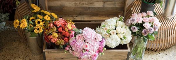 JR Roses Wholesale Flowers