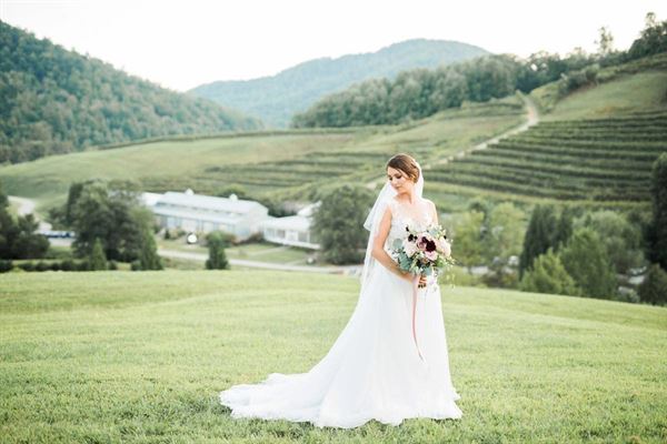 Mountain & Vine Vineyards and Winery