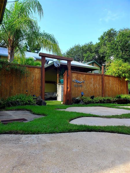 The Mermaid & Her Fisherman