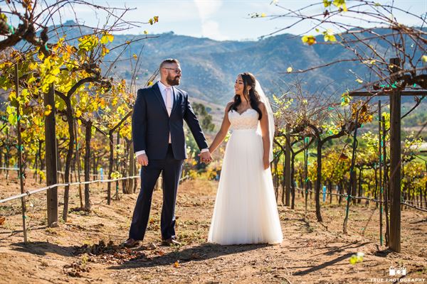 Orfila Vineyards & Winery